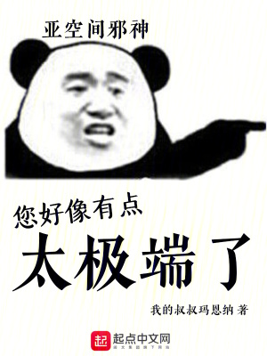  您好像有点太极端了